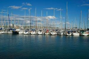 PHOTO COURTESY DOCKWA