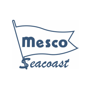 Mesco Blue Logo 3